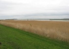 Duitsland Elly (6)